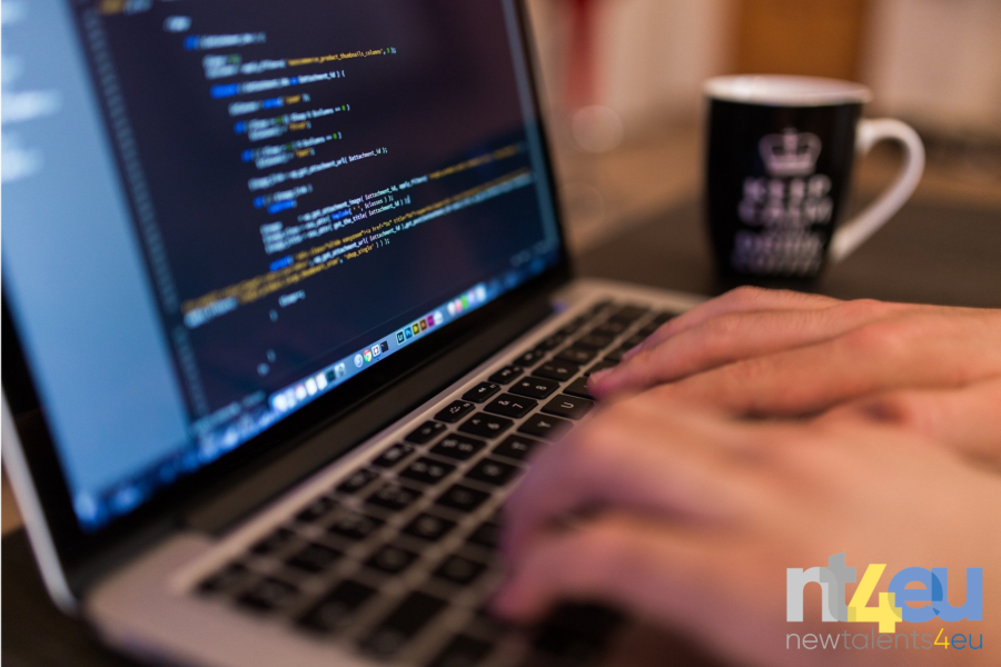 The NT4EU trainings go online!