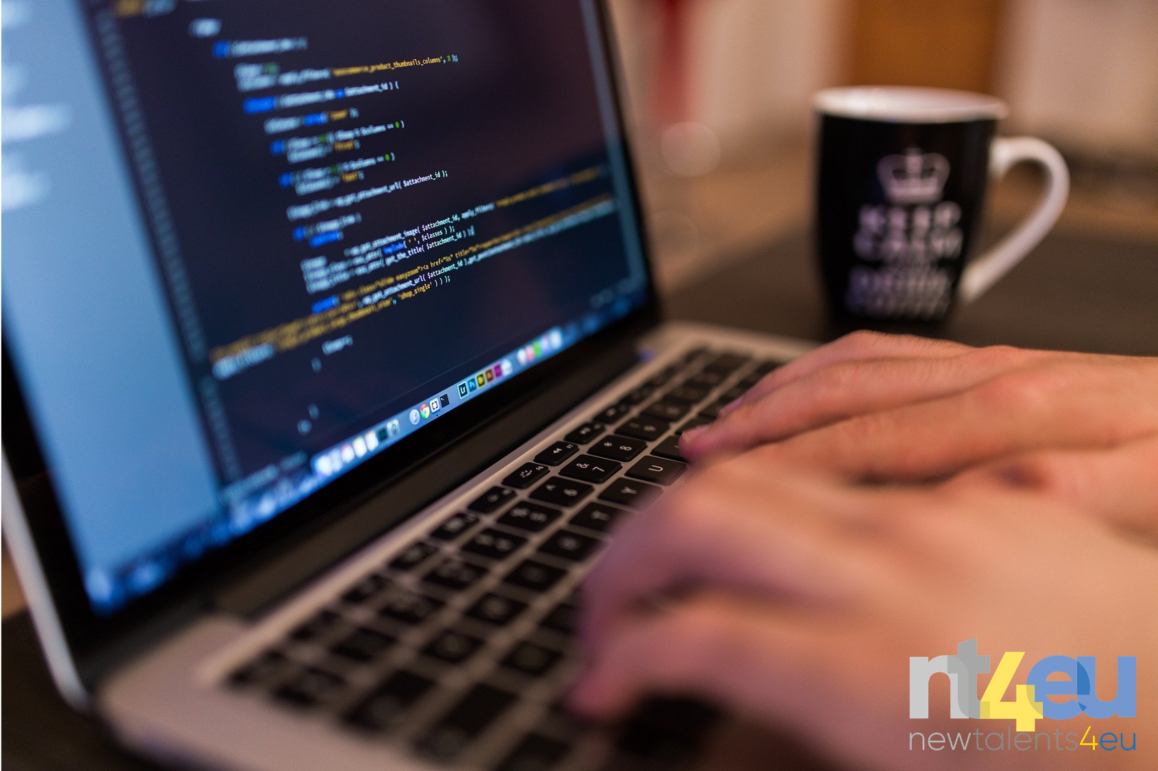 The NT4EU trainings go online!